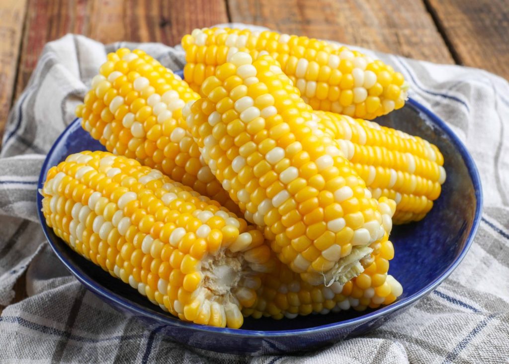 Cooked corn on blue plate