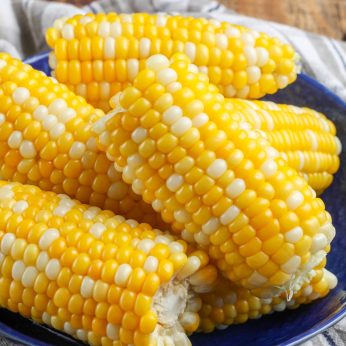 Corn on plate