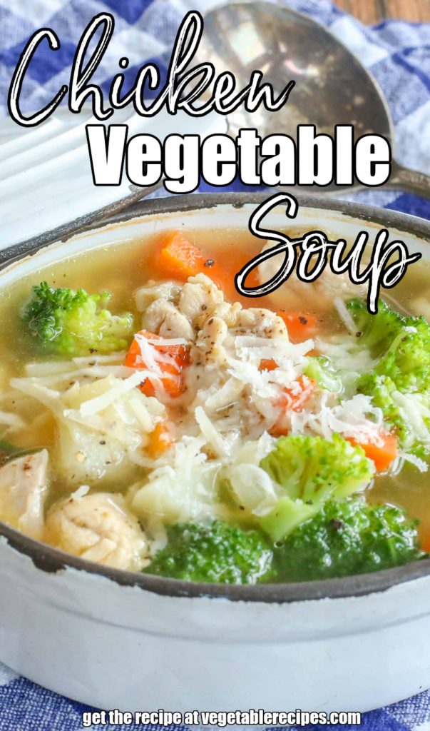 chicken vegetable soup in enamel bowl with spoon