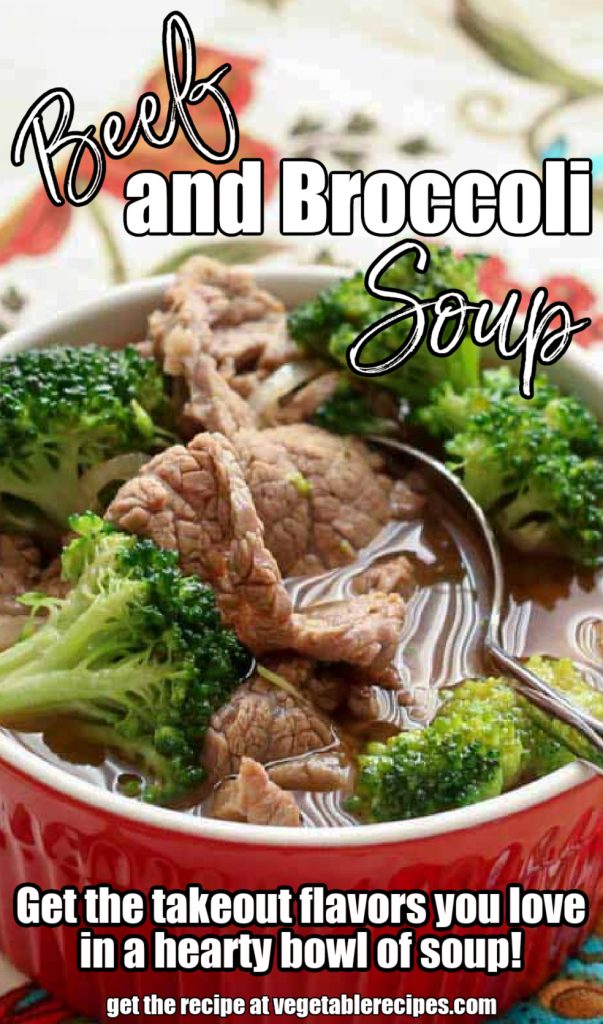 beef and broccoli soup