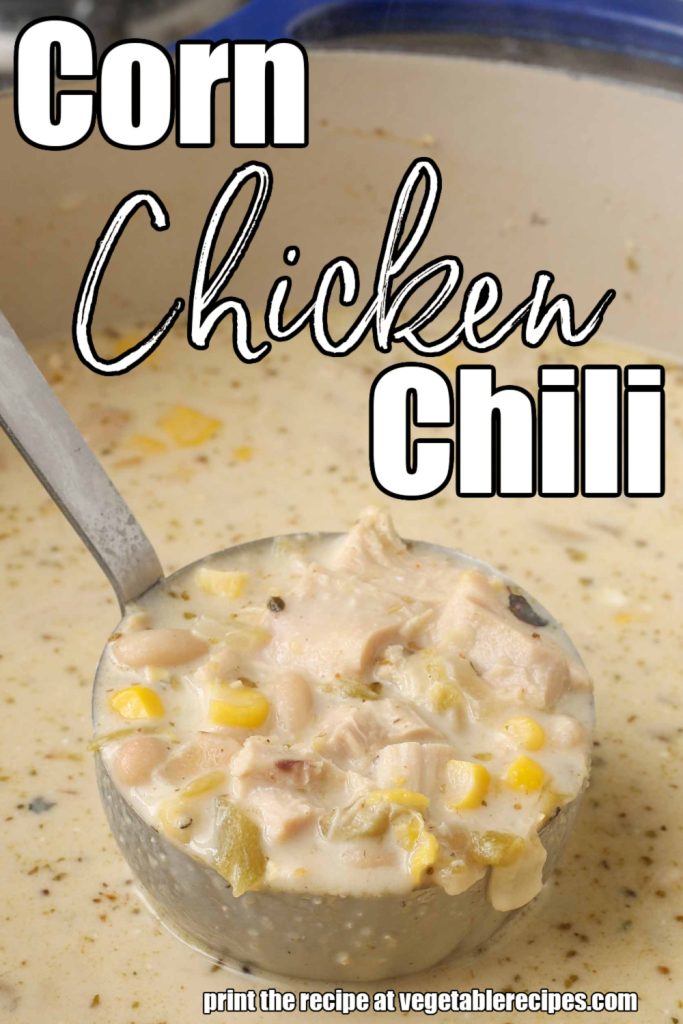 ladle filled with Corn Chicken Chili