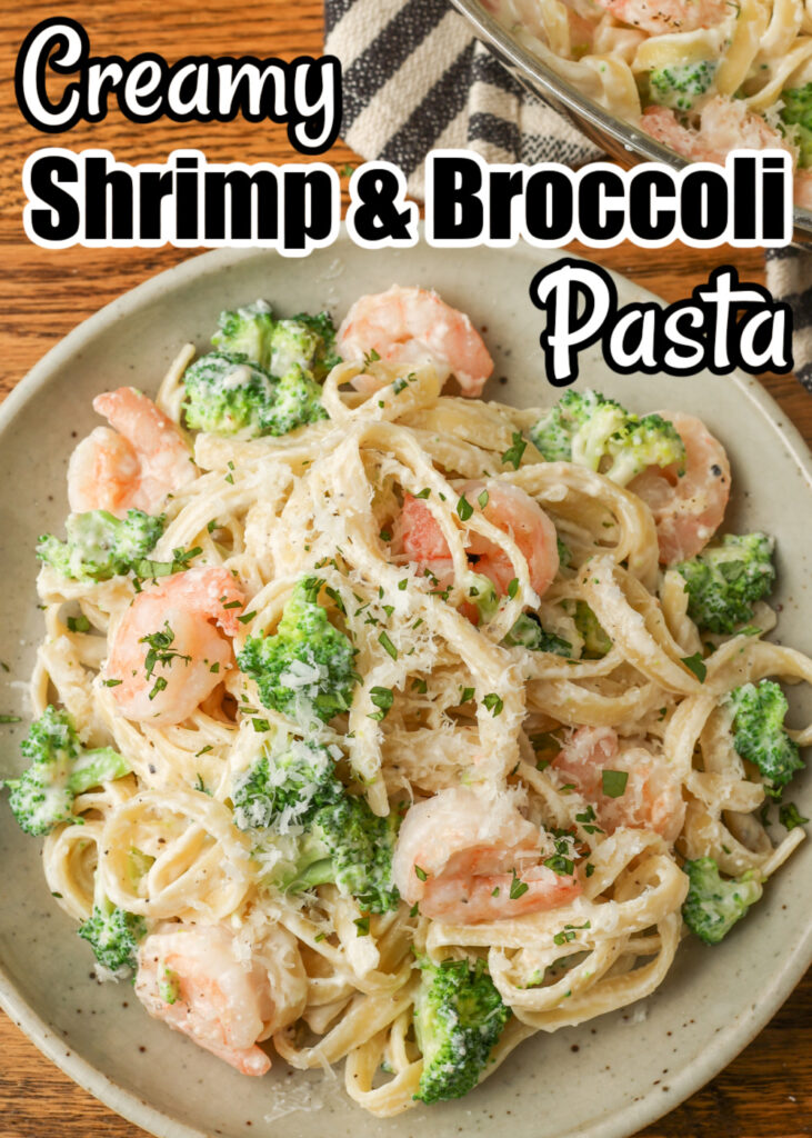 Black and white text has been overlaid this close up image of a pan filled with pasta, broccoli, and shrimp in a creamy sauce. It reads, "Creamy Shrimp & Broccoli Pasta"